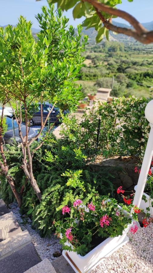 Casa L'Ulivariu Affittacamere Сан Теодоро Екстериор снимка